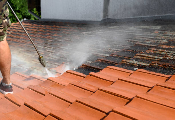 Best Affordable Power Washing  in Dwight, IL