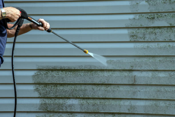 Best Exterior Home Cleaning  in Dwight, IL